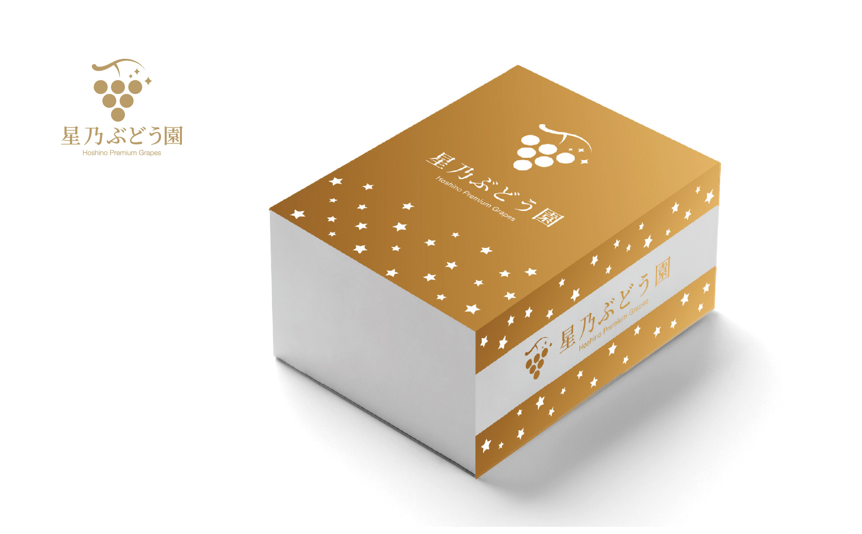 å
è¡åä»ãèš³ãããæä¹ã·ã£ã€ã³ãã¹ã«ãã 1.3kg 2æ¿ã4æ¿ãé
éäžå¯å°åïŒé¢å³¶ã»åæµ·éã»æ²çžçãã1554831ã