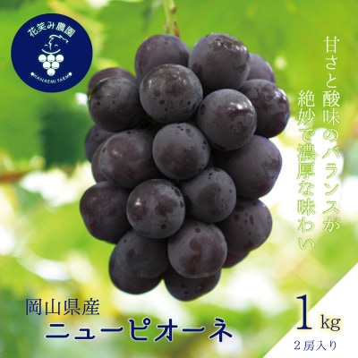 【2026年先行受付】岡山　花笑み農園の『ニューピオーネ』1kg(2房)　P-1【配送不可地域：離島・北海道・沖縄県】【1628315】