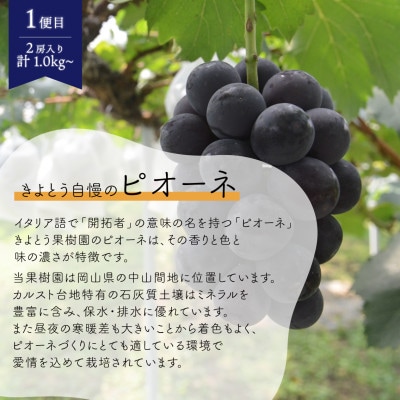 【発送月固定定期便】ピオーネとシャインマスカットお試し便 (岡山県産)全2回【配送不可地域：離島】【4078996】