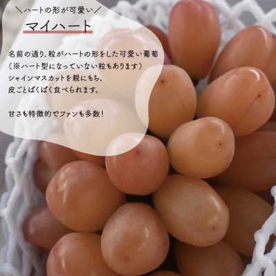 ããããšããã¡ãŒã ããèš³ããåãå®¶åºçšãã·ã£ã€ã³ãã¹ã«ãã&ãã€ããŒã çŽ2.4kg (岡山çç£)ãé
éäžå¯å°åïŒé¢å³¶ãã1644766ã