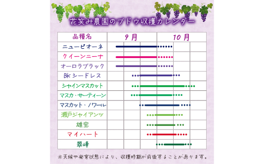 【2026年先行受付】岡山　花笑み農園の『BKシードレス』優品　約2kg(3〜5房)　B-2優【配送不可地域：離島・北海道・沖縄県】【1593502】