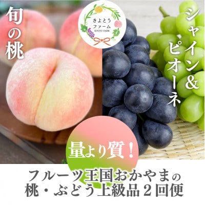 【発送月固定定期便】【2026年先行予約】量より質!桃とピオーネ&シャインの定期便(岡山県産)全2回【配送不可地域：離島・北海道・沖縄県】【4067690】