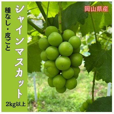【2026年先行受付】岡山のぶどう(シャインマスカット)2kg(3〜5房)【配送不可地域：離島】【1617939】