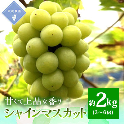 【先行予約 2026年発送】岡山県産　シャインマスカット　3房〜6房(合計約2kg)【配送不可地域：離島】【1562256】