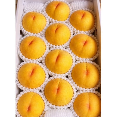 【先行受付|8月下旬頃より順次発送】岡山県産『黄金桃』　約2kg(6~8玉)【配送不可地域：離島・北海道・沖縄県】【1726917】