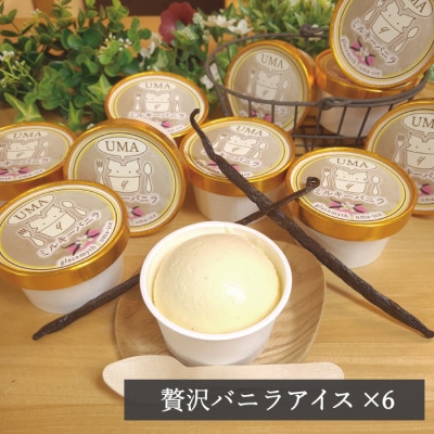 スイーツ専門店の作るこだわりアイスクリーム6個セット　バニラアイス　各90ml入り【配送不可地域：離島】【1455004】