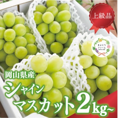 シャインマスカット 3-5房/計2kg〜 (岡山県産) 果樹園こだわりの「きよとう」シャイン!【配送不可地域：離島】【1548980】