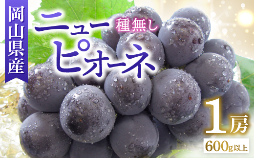 ◆先行受付◆　岡山県産　秋のニューピオーネ　2026年発送【配送不可地域：離島・北海道・沖縄県】【1350316】