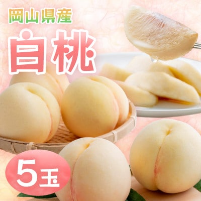 【2026年発送】岡山県産白桃　5玉・約1.3kg(クール便)【配送不可地域：離島】【1614347】