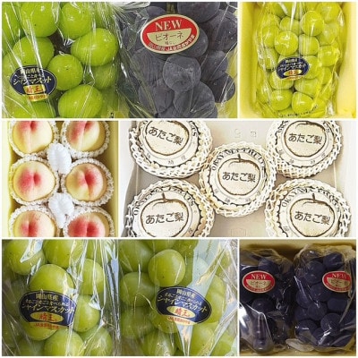 ãçºéæåºå®å®æäŸ¿ã岡山çç£ ãã«ãŒãå®æäŸ¿å
š6åãé
éäžå¯å°åïŒé¢å³¶ãã4078581ã