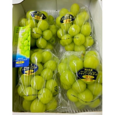 【先行受付】岡山県産 シャインマスカット『晴王』 3〜5房 (約2kg)【配送不可地域：離島・北海道・沖縄県】【1499103】