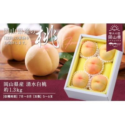 【2026年発送】岡山県産　清水白桃　約1.3kg(5〜6玉)【配送不可地域：離島】【1614026】