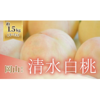 《2026年発送》岡山県産清水白桃 1.5kg 5〜7玉【配送不可地域：離島・北海道・沖縄県】【1736763】