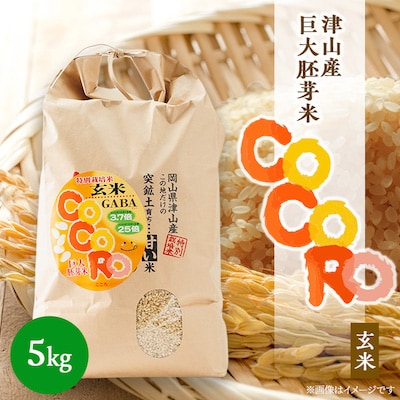 【突鉱土育ち】巨大胚芽米CoCoRo 5kg【1361992】