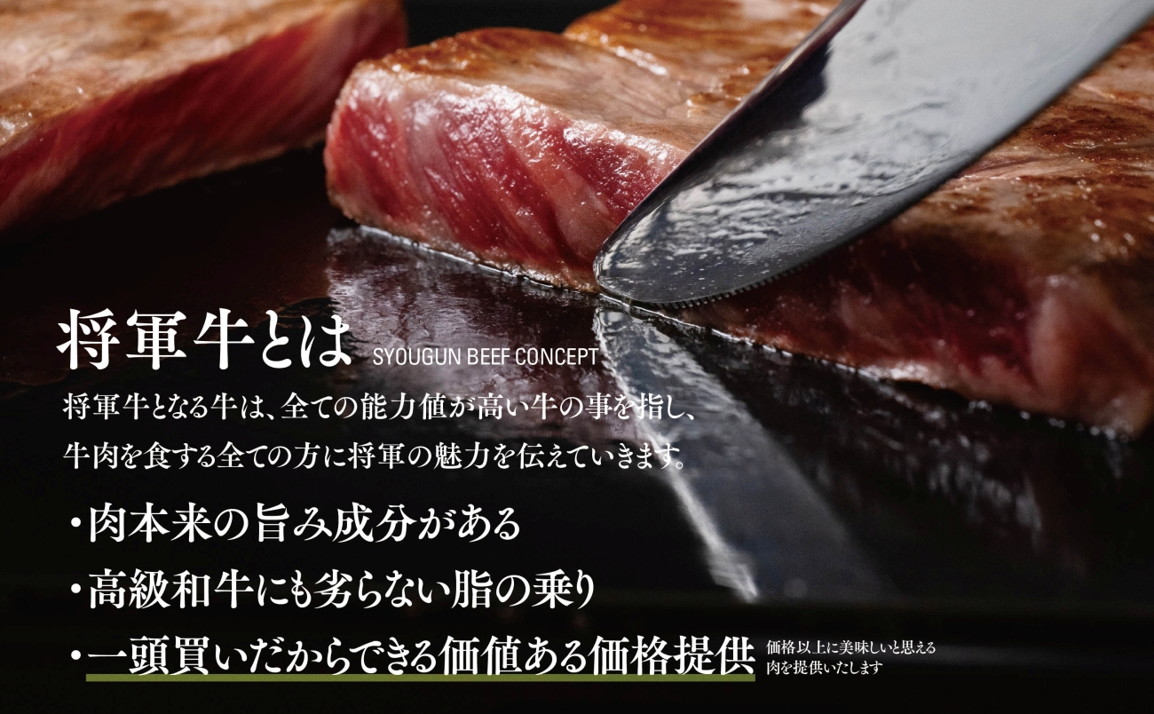 【将軍牛】特選ロースステーキ 500g【配送不可地域：離島・北海道・沖縄県】【1653402】