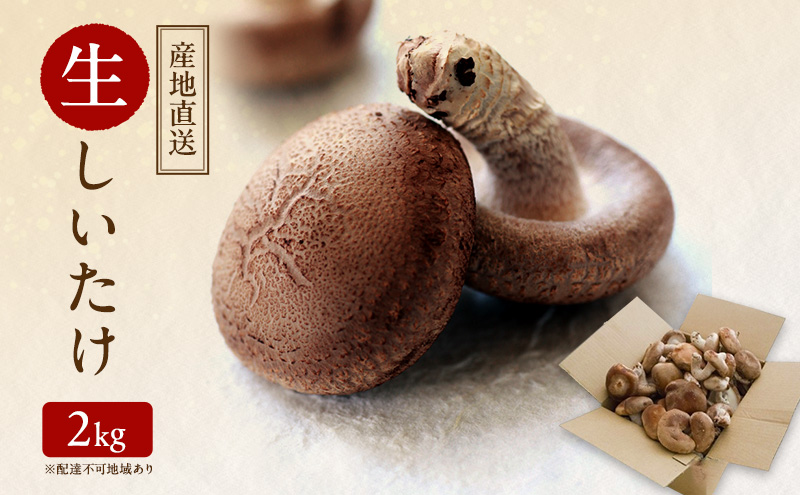 【 産地直送 】 有機JAS 生しいたけ  2kg オーガニック しいたけ きのこ 野菜 岡山県 玉野市 栽培期間中化学肥料不使用 栽培期間中農薬不使用