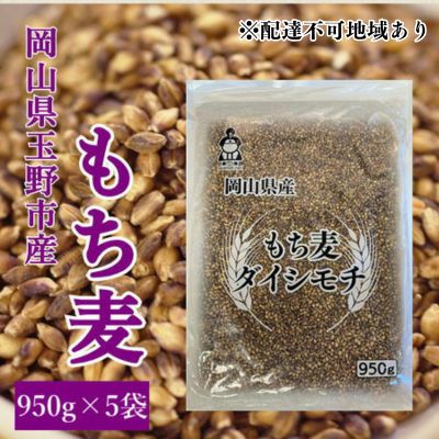 お米 もち麦 米 【通年出荷】岡山県玉野市産 もち麦 ダイシモチ 950g×5袋 