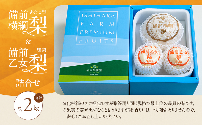 梨 2026年 先行予約 備前横綱梨（あたご梨） 1玉( 1～1.5kg)・備前乙女梨（鴨梨） 2～3玉 詰合せ 合計約2.0kg 【11月下旬～12月中旬頃発送】岡山県産 フルーツ ギフト 石原果樹園 ナシ 果物 