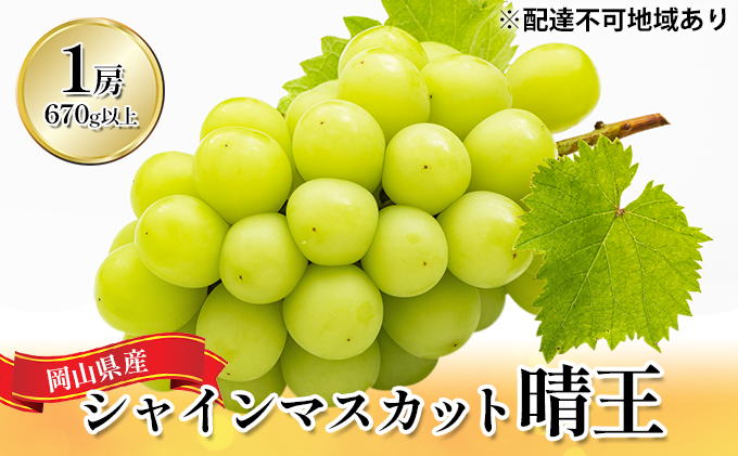 ぶどう 2024年 先行予約 シャイン マスカット 晴王 1房（1房670g以上