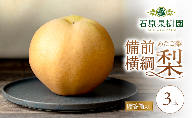 梨 2026年 備前横綱梨（あたご梨）3玉（1玉1～1.4kg）贈答箱 【11月下旬～12月中旬頃発送】ナシ なし 岡山県産 国産 フルーツ 果物 ギフト 石原果樹園