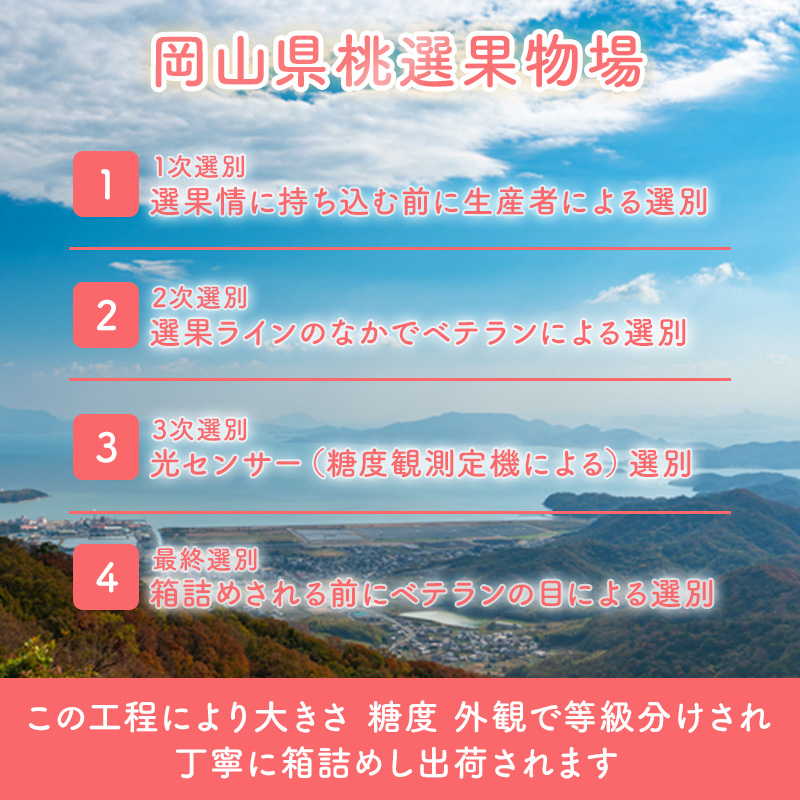 桃 2025年 先行予約 岡山 白桃 ロイヤル 4～6玉 約1kg JA おかやま のもも（早生種・中生種） もも モモ 岡山県産 国産 フルーツ 果物 ギフト