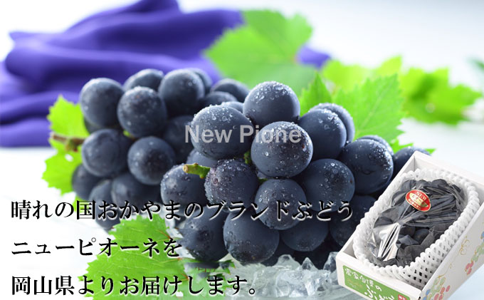 驚き価格岡山県産　ニューピオーネ（5）赤秀‼️ 果物