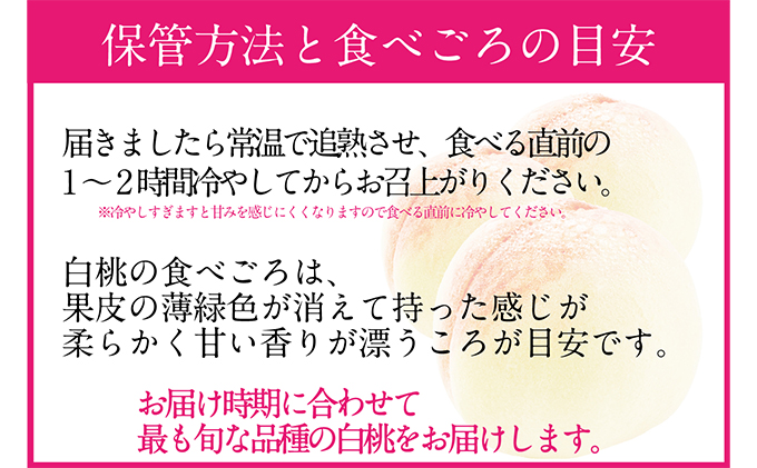 桃 2024年 先行予約 岡山の白桃 250g以上×6玉 白桃 旬 みずみずしい 晴れの国 おかやま 岡山県産 フルーツ王国 果物王国