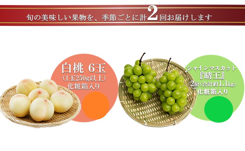 フルーツ 2025年 先行予約 晴れの国 岡山 の フルーツ 定期便 2回コース 桃 ぶどう 岡山県産 国産 フルーツ 果物 ギフト デザート 白桃 シャインマスカット 高級ぶどう 