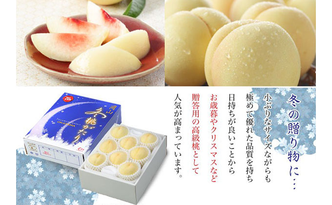 岡山県産 冬桃がたり ロイヤル 5個入り 数量限定】冬桃がたり5～7玉 (11月下旬頃～12月上旬発送) 岡山県産