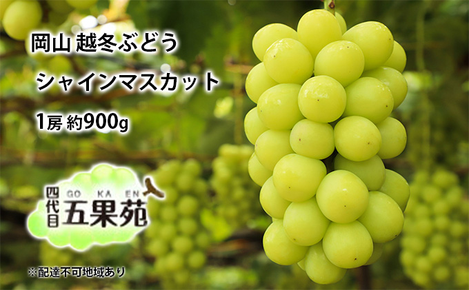 越冬 ぶどうシャイン マスカット 1房 約900g  岡山県産 四代目 五果苑