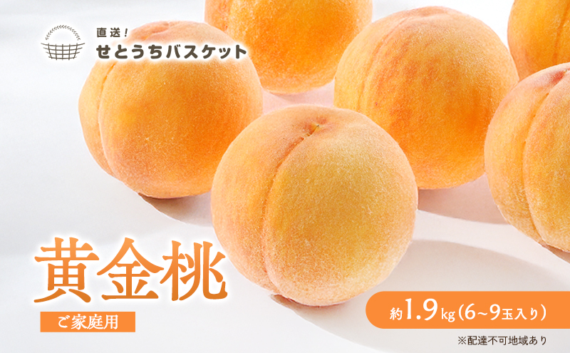 桃 2026年 先行予約 岡山 黄金桃 ご家庭用 約2kg 6～9玉入り もも モモ 岡山県産 国産 フルーツ 果物 直送！せとうちバスケット スイーツ こだわり 特産品 白い 香り 果汁 シーズン 濃厚 