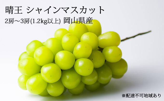 晴王 シャインマスカット 2房～3房（1.2kg以上） 岡山県産 葡萄 ぶどう