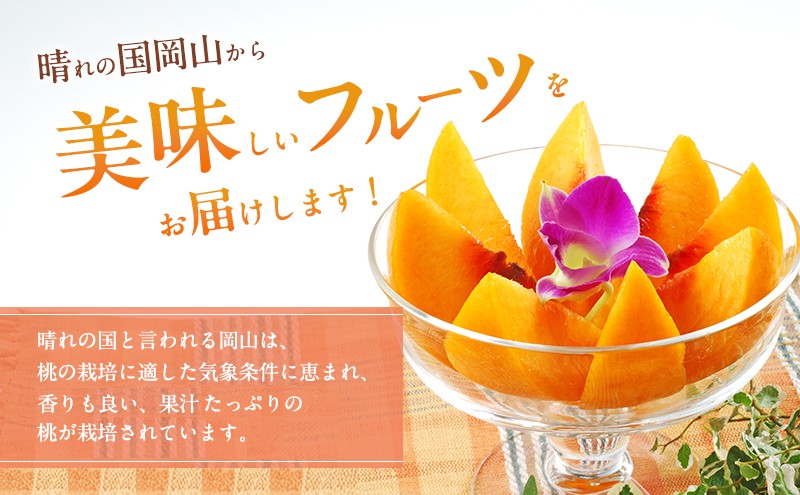 桃 2026年 先行予約 岡山 黄金桃 ご家庭用 約2kg 6～9玉入り もも モモ 岡山県産 国産 フルーツ 果物 直送！せとうちバスケット スイーツ こだわり 特産品 白い 香り 果汁 シーズン 濃厚 