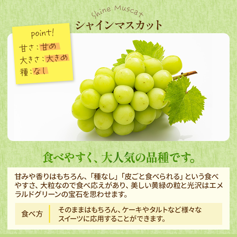 ぶどう 2025年 先行予約 シャイン マスカット 晴王 約600g×2房 ブドウ 葡萄  岡山県産 国産 フルーツ 果物 ギフト 果物類 