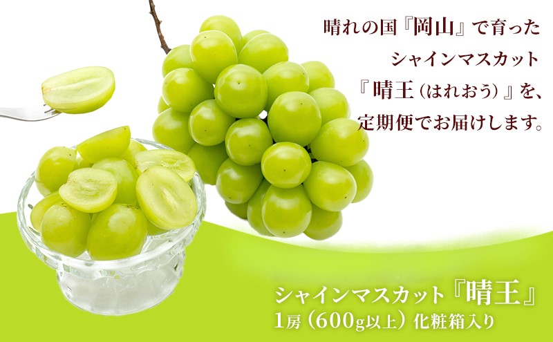 ぶどう 2025年 先行予約 晴れの国 岡山の シャイン マスカット 晴王 定期便 2回（各1房600g以上） 葡萄  岡山県産 国産 フルーツ ギフト