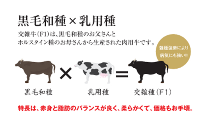 清麻呂 牛 ロース テキ肉 約540g（約180g×3枚）岡山市場発F1 牛肉