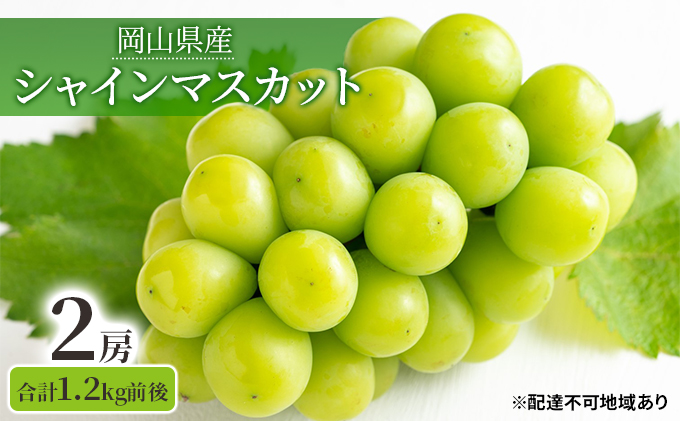 シャインマスカット 2房 合計1.2kg前後 岡山県産 葡萄 ぶどう 果物
