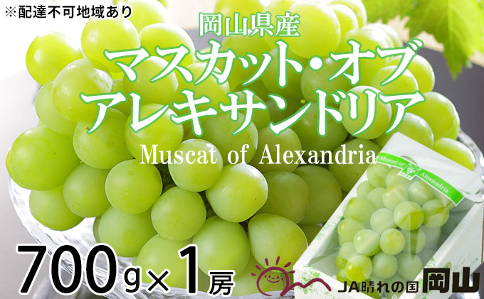 ぶどう 2024年 先行予約 マスカット ・オブ・アレキサンドリア 約700g×1房  ブドウ 葡萄  岡山県産 国産 フルーツ 果物 ギフト