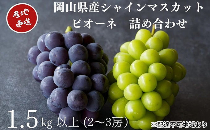 厳選 シャインマスカット・ニューピオーネ 2～3房 合計1.5kg以上