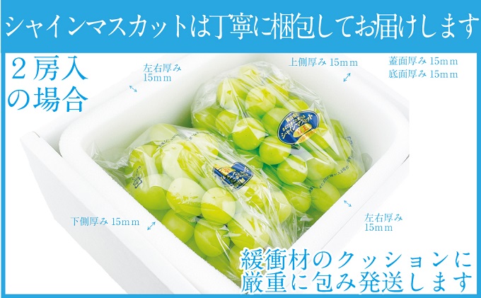 ぶどう 2026年 先行予約 シャイン マスカット 晴王 2房（合計約1kg） ブドウ 葡萄  岡山県産 国産 フルーツ 果物 ギフト 