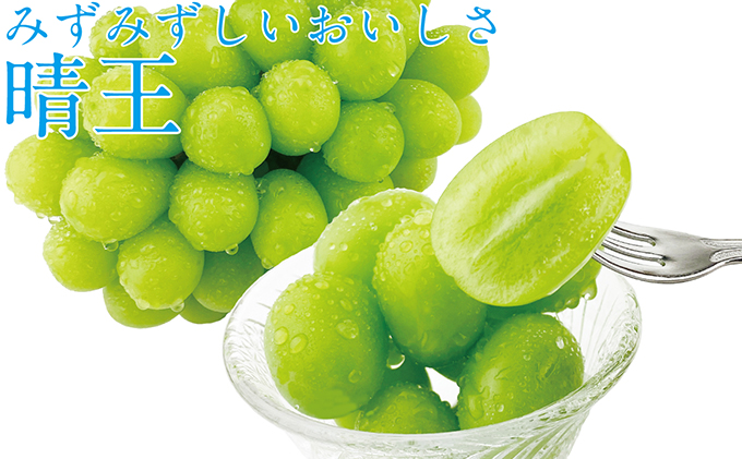 ぶどう 2026年 先行予約 シャイン マスカット 晴王 2房（合計約1kg） ブドウ 葡萄  岡山県産 国産 フルーツ 果物 ギフト 