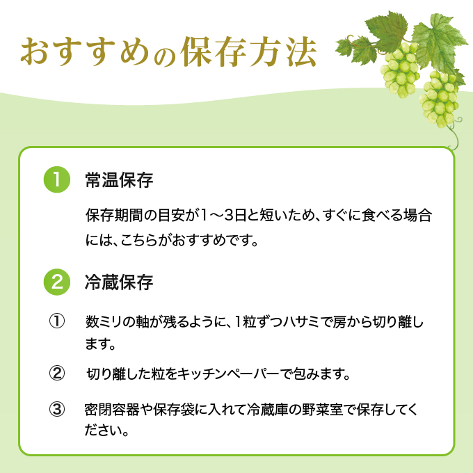 ぶどう 2025年 先行予約 ご家庭用 シャイン マスカット 晴王 優品 2房入り（1房 530g以上 露地栽培） ブドウ 葡萄  岡山県産 国産 フルーツ 果物