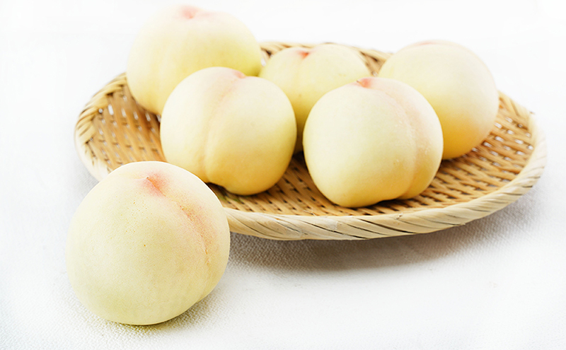 æ¡ å®æäŸ¿ 2026幎 å
è¡äºçŽ å²¡å±± ã® çœæ¡ 6ç åèš1.6kg以äžÃ2å ãå±ã åç²§ç®±å
¥ã ãã ã¢ã¢ å²¡å±±ç£ åœç£ ãã«ãŒã æç© ã®ãã