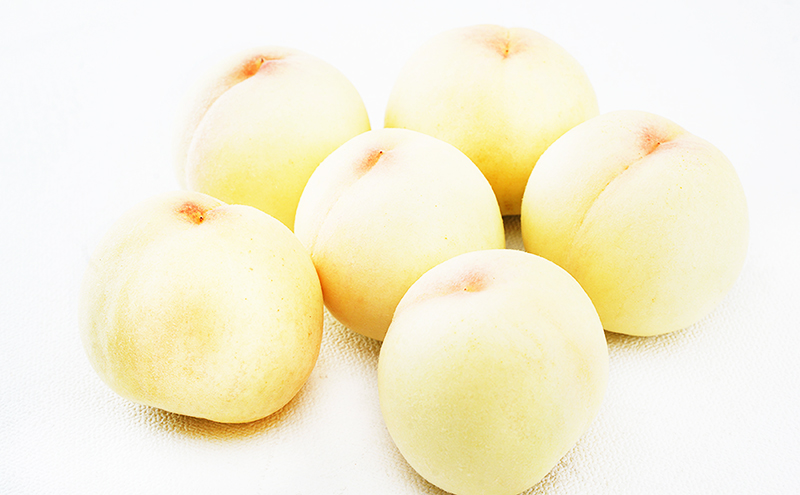 æ¡ å®æäŸ¿ 2026幎 å
è¡äºçŽ å²¡å±± ã® çœæ¡ 6ç åèš1.6kg以äžÃ2å ãå±ã åç²§ç®±å
¥ã ãã ã¢ã¢ å²¡å±±ç£ åœç£ ãã«ãŒã æç© ã®ãã