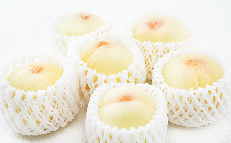 æ¡ å®æäŸ¿ 2026幎 å
è¡äºçŽ å²¡å±± ã® çœæ¡ 6ç åèš1.6kg以äžÃ2å ãå±ã åç²§ç®±å
¥ã ãã ã¢ã¢ å²¡å±±ç£ åœç£ ãã«ãŒã æç© ã®ãã