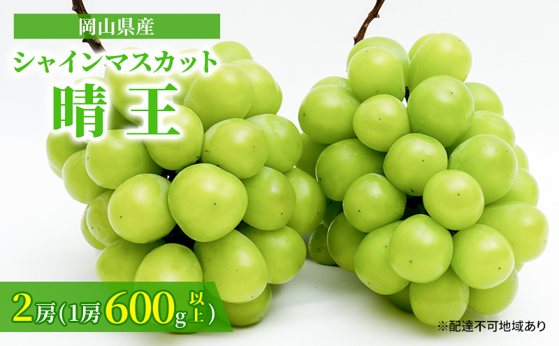 ぶどう 2024年 先行予約 シャイン マスカット 晴王 2房 （1房 600g以上） 化粧箱入り マスカット ブドウ 葡萄 岡山県産 国産 フルーツ 果物 ギフト