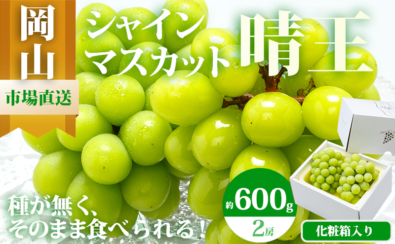 ぶどう 2026年 先行予約 シャイン マスカット 晴王 2房 （1房 600g以上） 化粧箱入り マスカット ブドウ 葡萄 岡山県産 国産 フルーツ 果物 ギフト 果物類