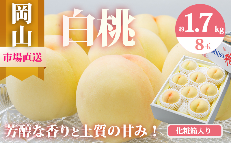 桃 2026年 先行予約 岡山 の 白桃 8玉（合計1.7kg以上）化粧箱入り もも モモ 岡山県産 国産 フルーツ 果物 ギフト 
