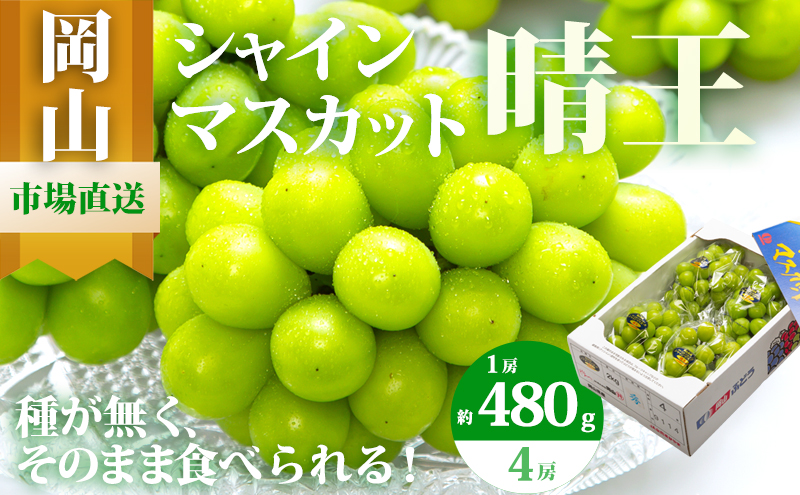ぶどう 2026年 先行予約 シャイン マスカット 晴王 4房（1房480g以上）約2kg マスカット ブドウ 葡萄 岡山県産 国産 フルーツ 果物 ギフト 果物類 ぶどう