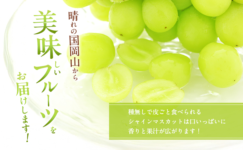 ぶどう 2026年 先行予約 シャインマスカット 大房 2房 約1.4kg ブドウ 葡萄 岡山県産 国産 フルーツ 果物 直送！せとうちバスケット 